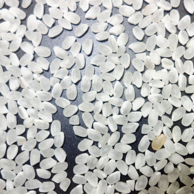 富山県産生活応援米