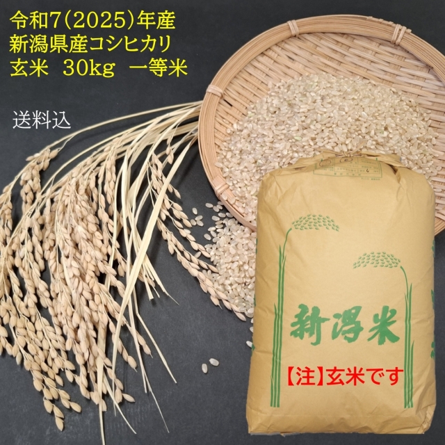 新潟県産コシヒカリ玄米