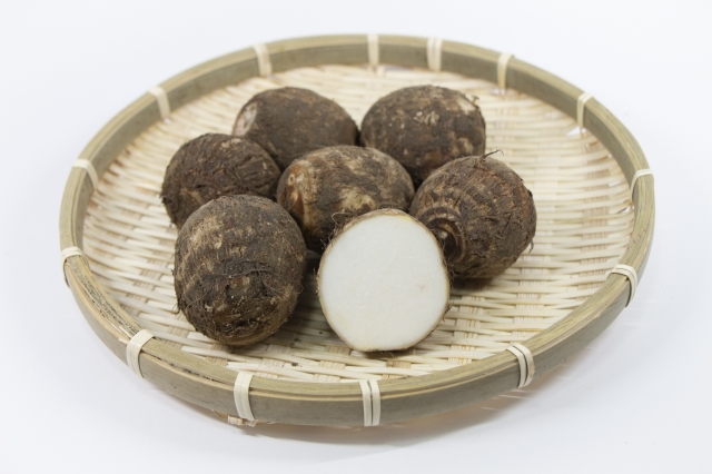 里芋（帛乙女）