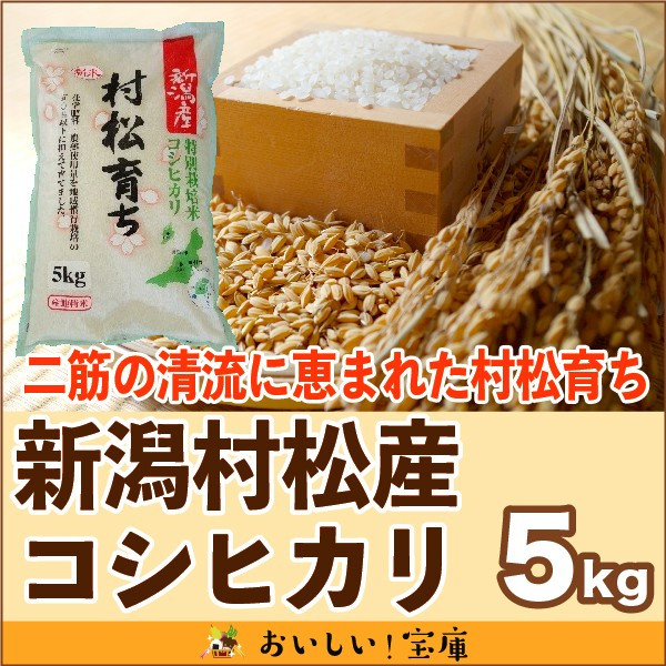 ＜令和6年産・2024年産→終売＞ 新潟　村松産コシヒカリ 「村松育ち」　無洗米　特別栽培米　5kg  | こめや丸七