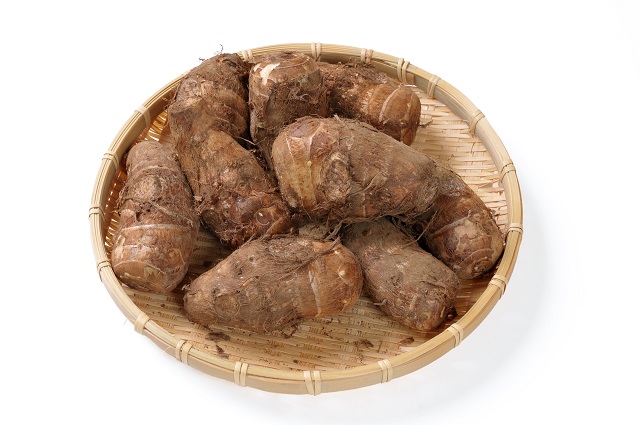 里芋（帛乙女）