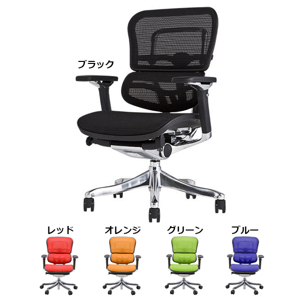 Ergohumanエルゴヒューマンプロロータイプ/ファブリックメッシュ/EHP-LAM-KMD/802051