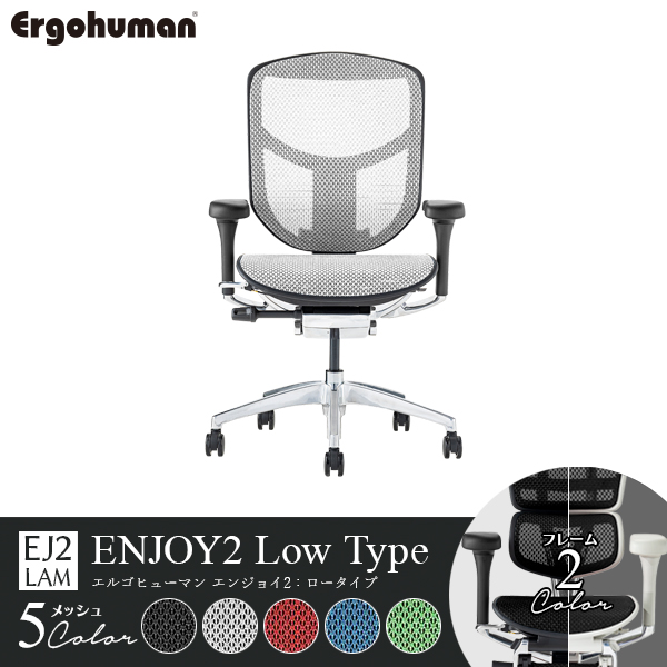 ErgohumanENJOY2 Low/エルゴヒューマン/エンジョイ2/ロータイプ/EJ2-LAM-□/フレーム2色/メッシュ5色/1001939