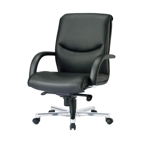 エグゼクティブチェア/ローバック/RA-4205L/ブラック/24967