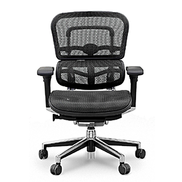 Ergohumanエルゴヒューマンベーシックロータイプ/エラストメリック  