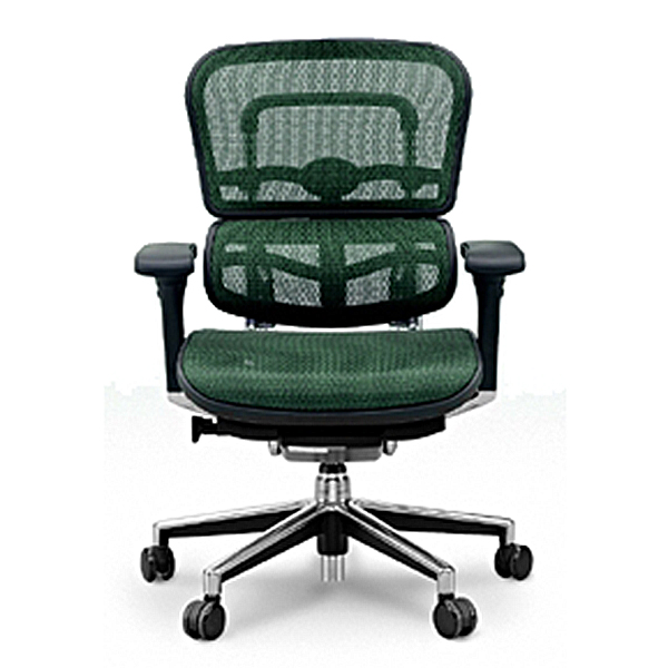 Ergohumanエルゴヒューマンベーシックロータイプ/エラストメリック  