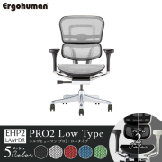 ErgohumanPRO2 Low/エルゴヒューマン/プロ2/ロータイプ/EHP2-LAM-DR-□/フレーム2色/メッシュ5色/1001937