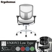 ErgohumanENJOY2 Low/エルゴヒューマン/エンジョイ2/ロータイプ/EJ2-LAM-□/フレーム2色/メッシュ5色/1001939