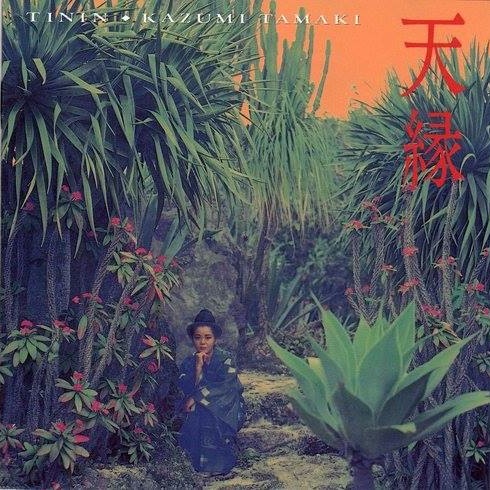 APCD-1003 天縁　/玉城一美