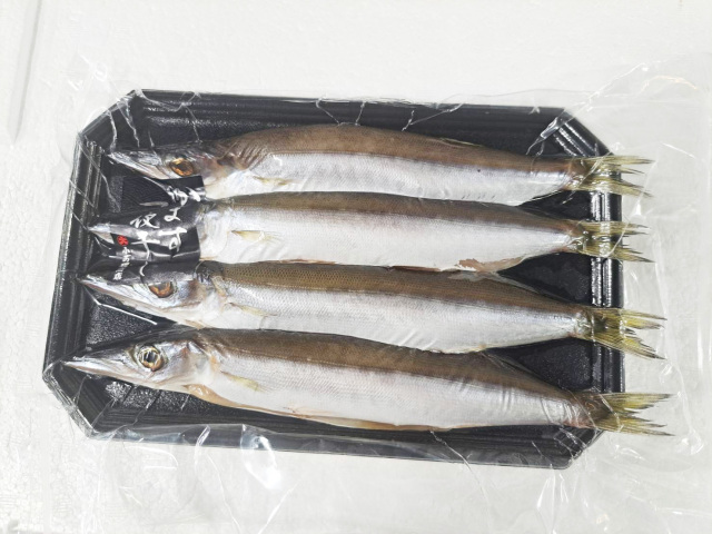 カマス一夜干し3-7尾