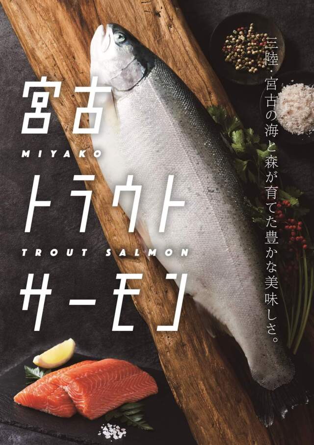 宮古トラウトサーモン