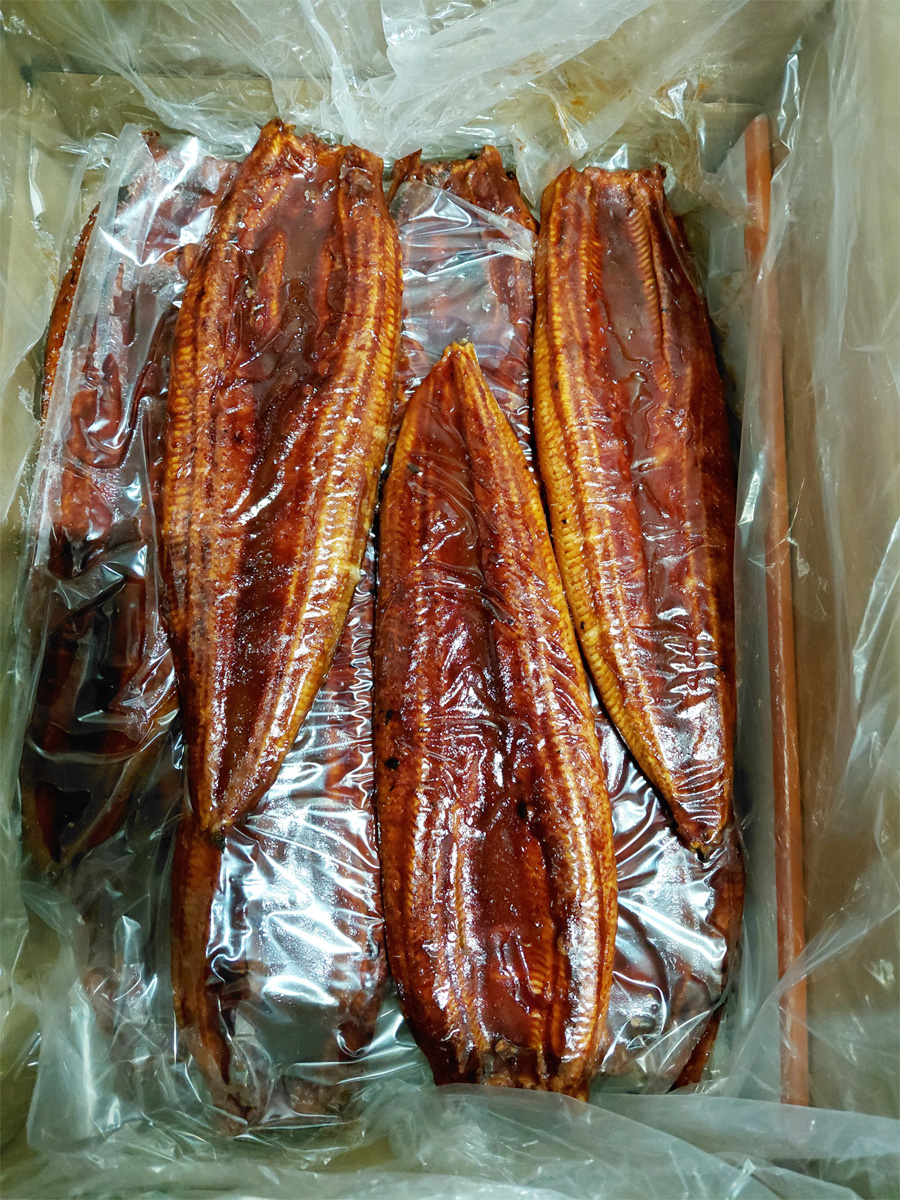 うなぎ長焼き　中国産