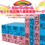 セット購入者限定追加発注分★お名前スタンプ お名前はんこ 氏名印 単品2L 介護用 にも最適 9ミリ×６０ミリ