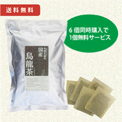 国産烏龍茶　6個セット＋1個無料サービス　送料無料
