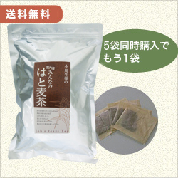 みんなのはと麦茶　6個セット＋1個無料サービス