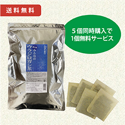 香川産みんなのウラジロガシ茶　5個セット+1個無料サービス　送料無料【7営業日以内に発送予定（土日祝を除く）】