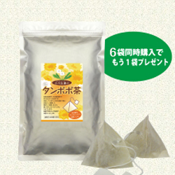 タンポポ茶(テトラバッグ）　6個セット＋1個無料サービス