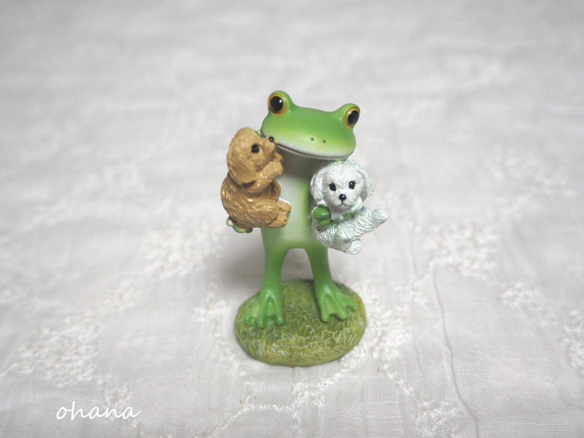 犬が大好きなカエル