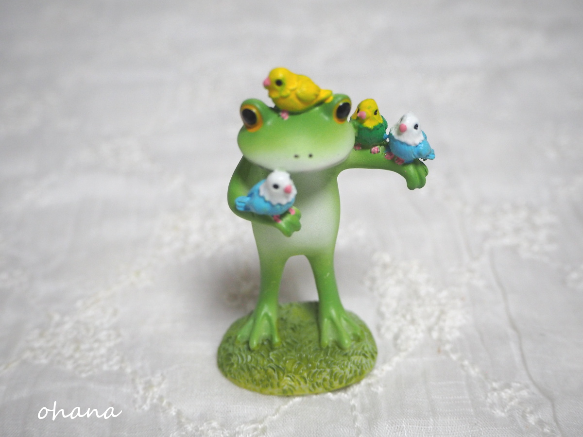 鳥が大好きなカエル