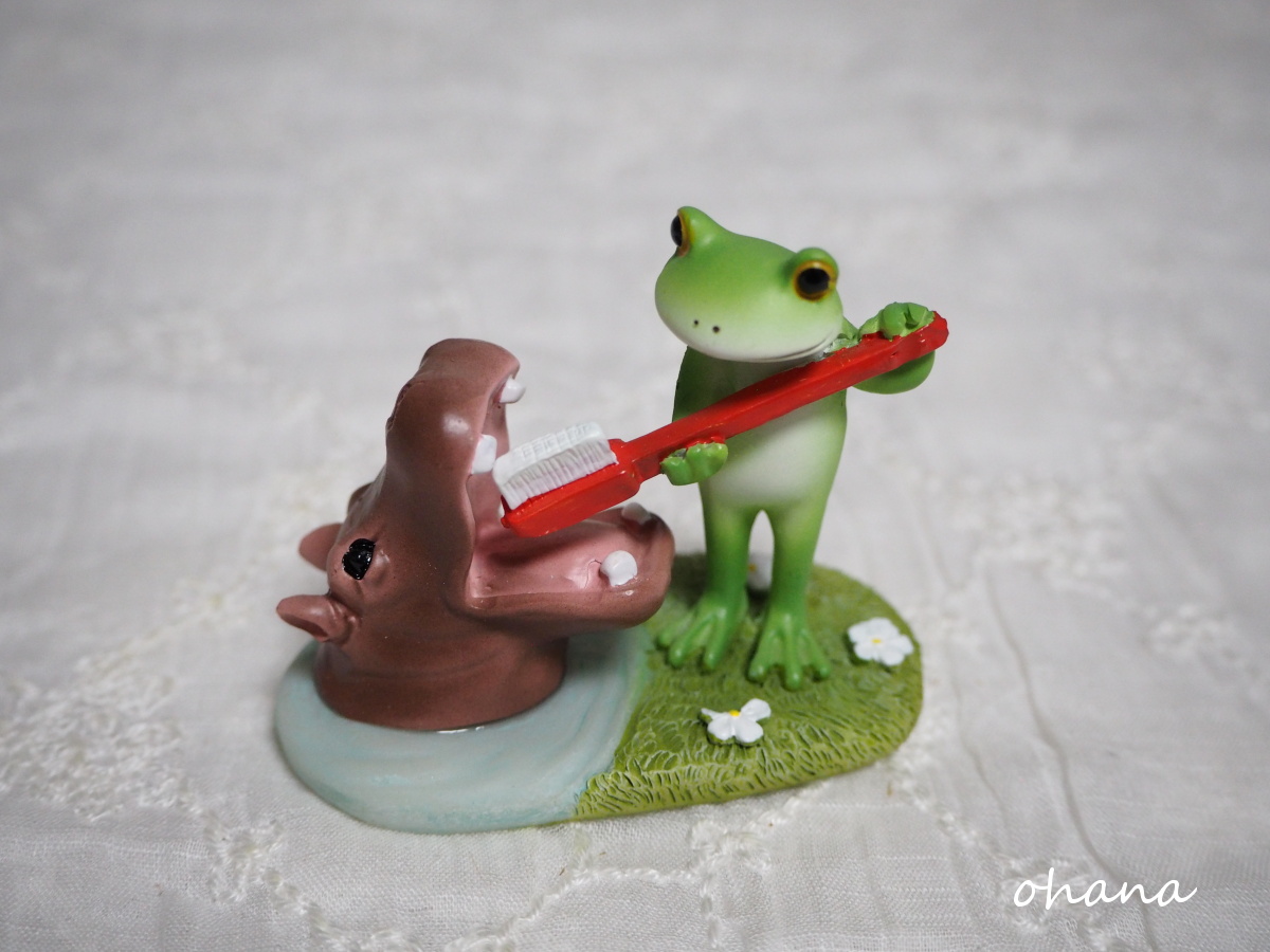 カバの歯磨きをするカエル