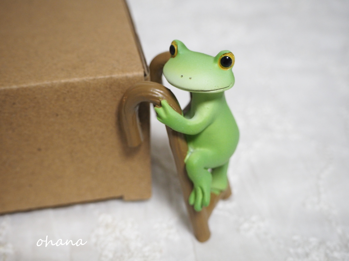 はしごをのぼるカエル