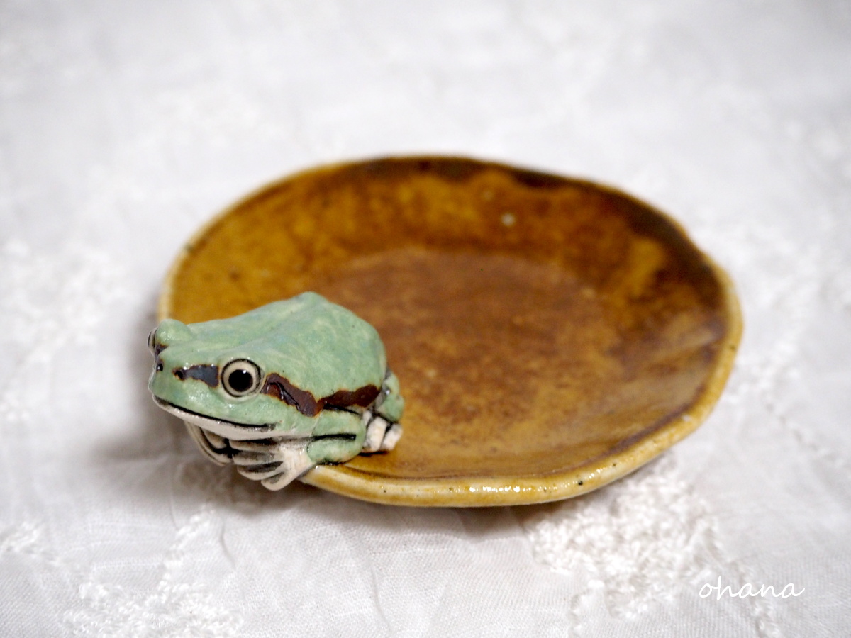 陶器 アマガエルの豆皿 茶 陶器 アマガエルの豆皿 茶