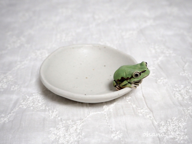 きたむら工房　アマガエル休み取っ手つき付プレート角 陶器「アマガエルの豆皿」