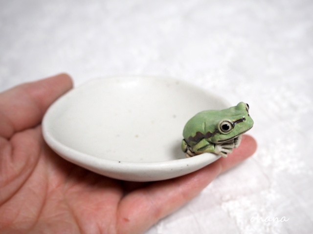 アマガエルの豆皿
