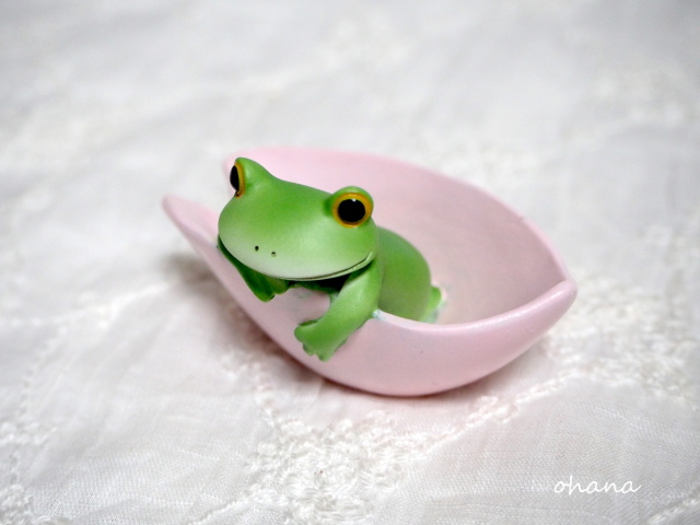 桜をボートにするカエル