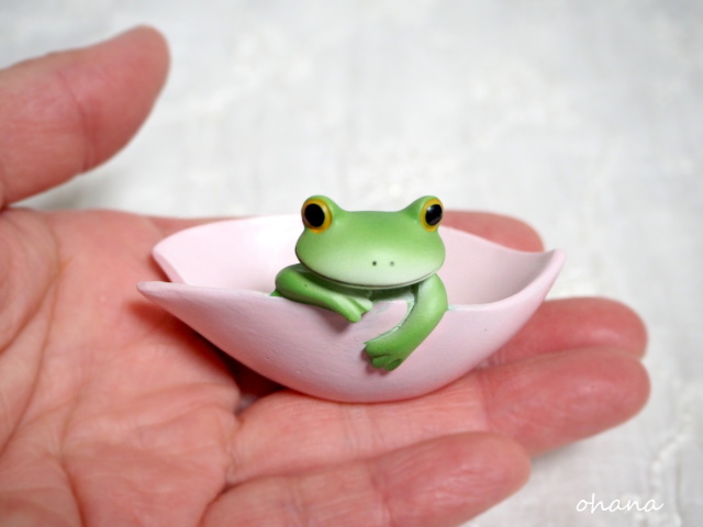 桜をボートにするカエル