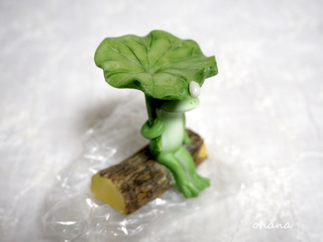 ハスの葉で雨宿りするカエル