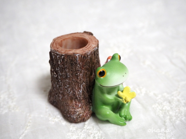 蝶と仲良し