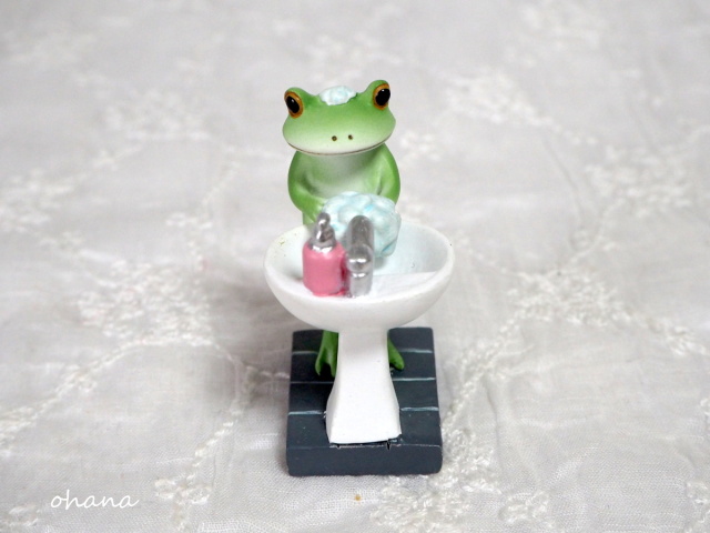 ハンドウォッシュカエル