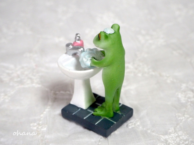 ハンドウォッシュカエル