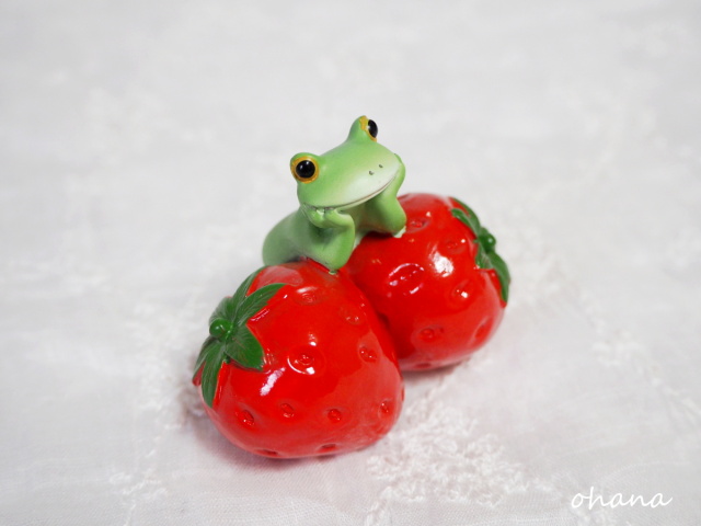 いちごに囲まれるカエル
