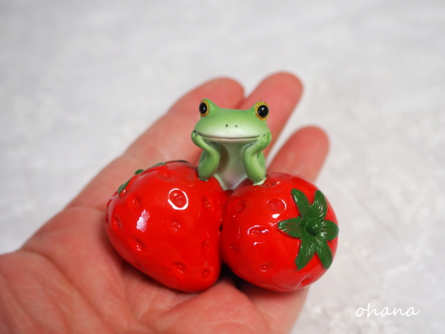いちごに囲まれるカエル