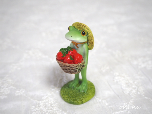 いちごの収穫
