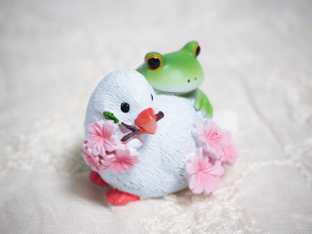 桜文鳥とカエル