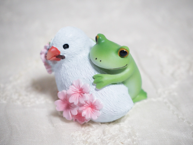 桜文鳥とカエル