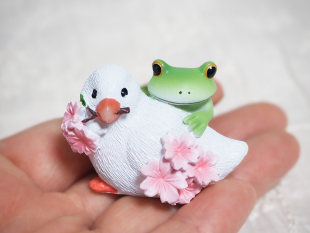 桜文鳥とカエル