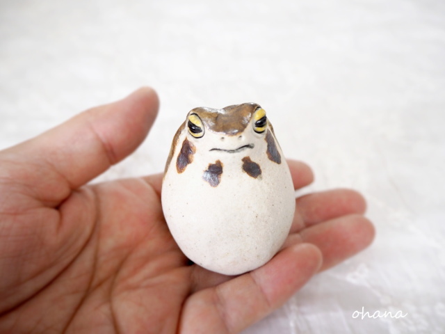 アメフクラガエルの一輪挿し