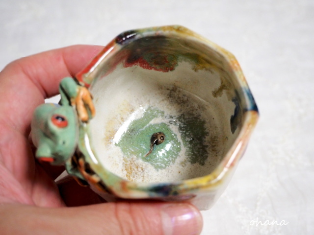 アカメアマガエルのぐいのみ