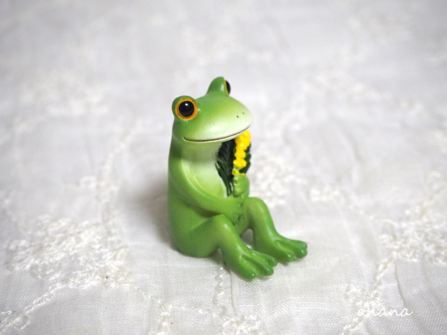 ミモザとカエル