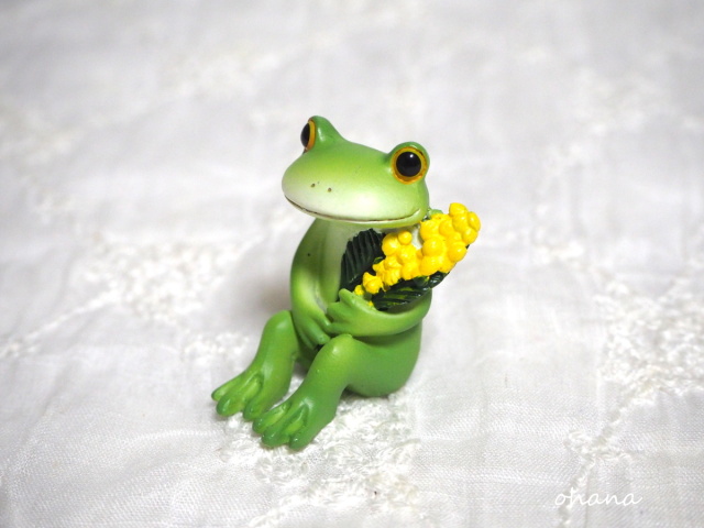 ミモザとカエル