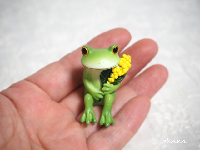 ミモザとカエル