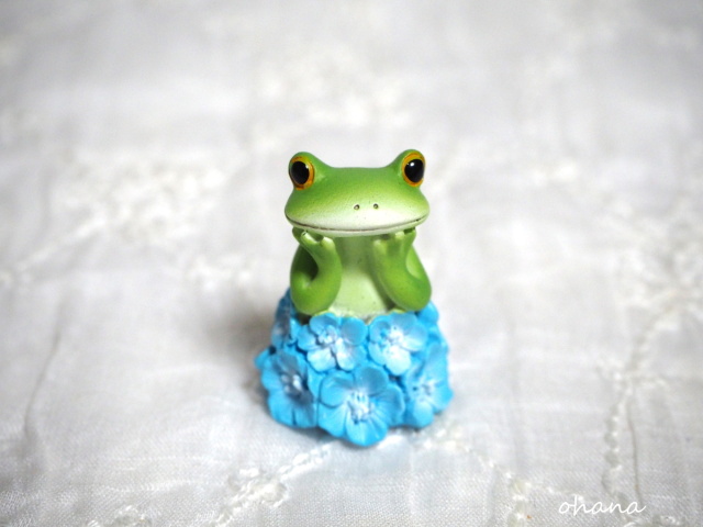 ネモフィラ畑のカエル