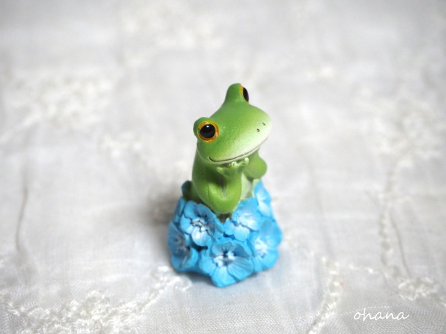 ネモフィラ畑のカエル