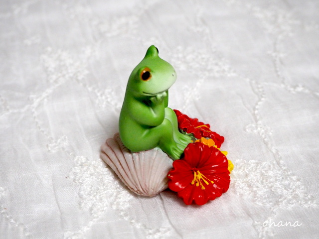 ハイビスカスとカエル