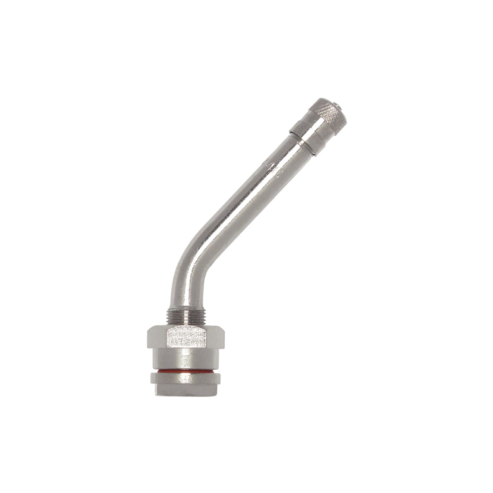 TB／LTチューブレス用バルブ　TR-544C　シルバー