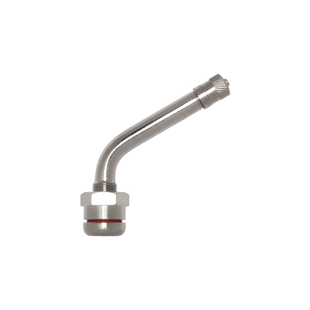 TB／LTチューブレス用バルブ　TR-544D　シルバー